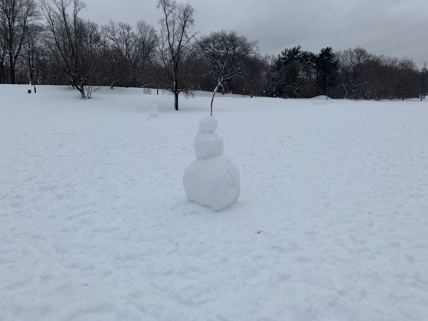 Snow in Prospect Park